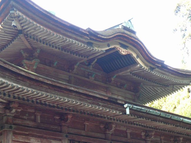 ��b�R��������E���d�@