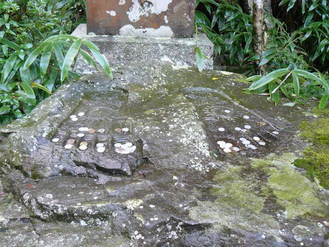 ��b�R��������E������