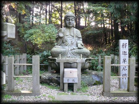 ��b�R��������E�߉ޖ����