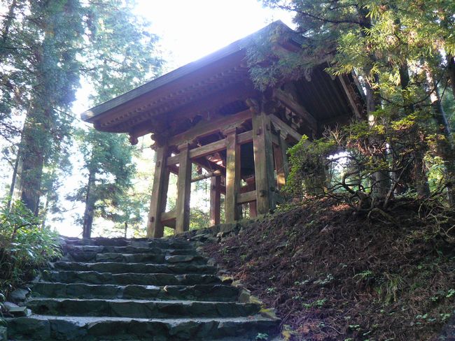 ��b�R��������E���O