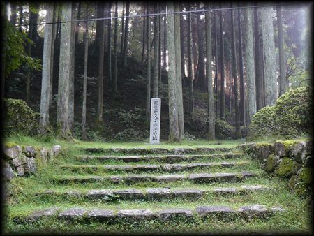 ��b�R��������E�e�a���l���C�s�̒n