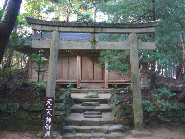 ��b�R�������E���O��t��_