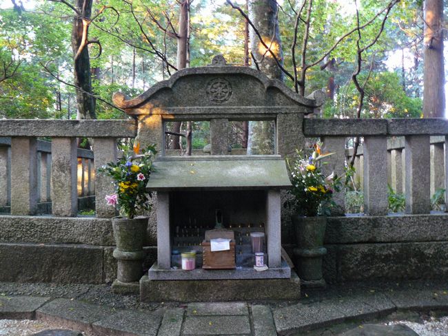 ��b�R�������E���O��t��_