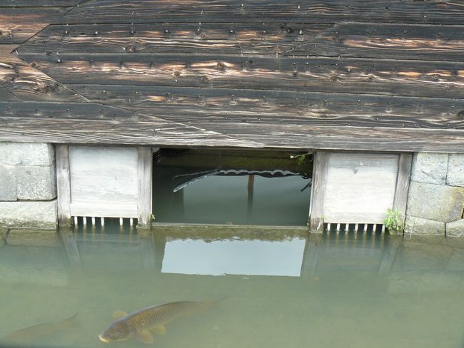 ���O���F���q�ƏZ��