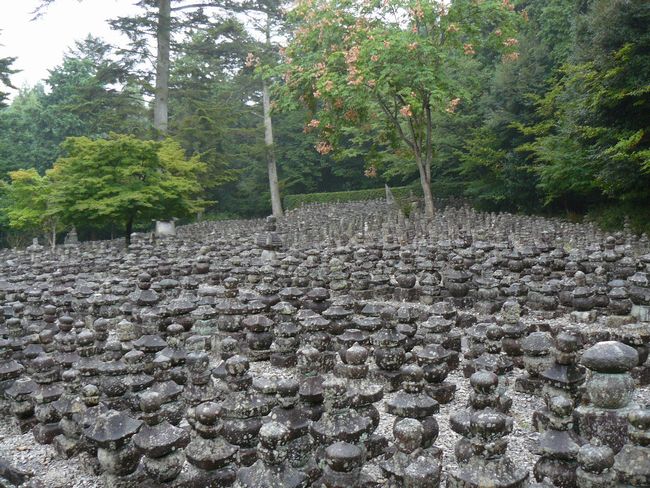 ���ߍ]�s�E���ڎ�