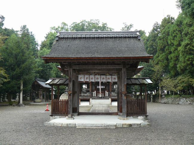 ���ߍ]�s�E�t���_��