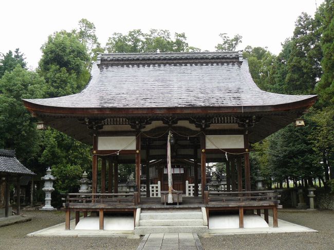 ���ߍ]�s�E�t���_��