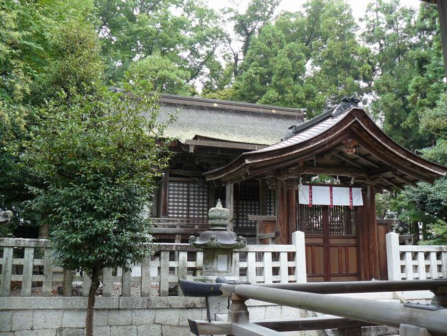 ���ߍ]�s�E�t���_��