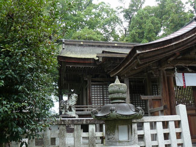 ���ߍ]�s�E�t���_��