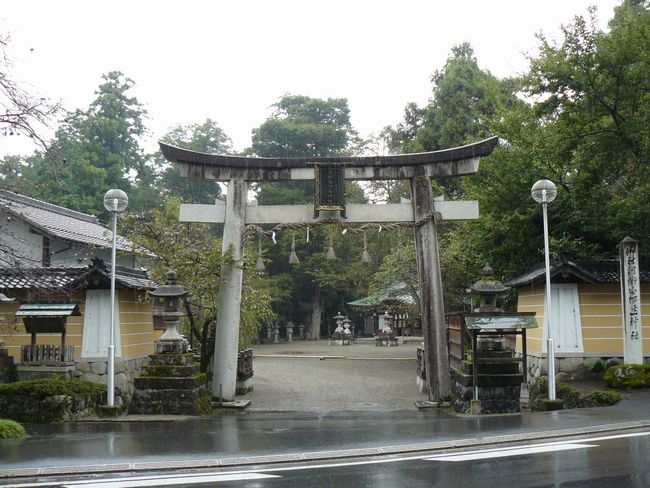 ���ߍ]�s�E�͌���͕Ӑ_��