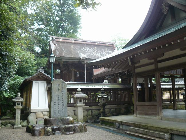 ���ߍ]�s�E�͌���͕Ӑ_��