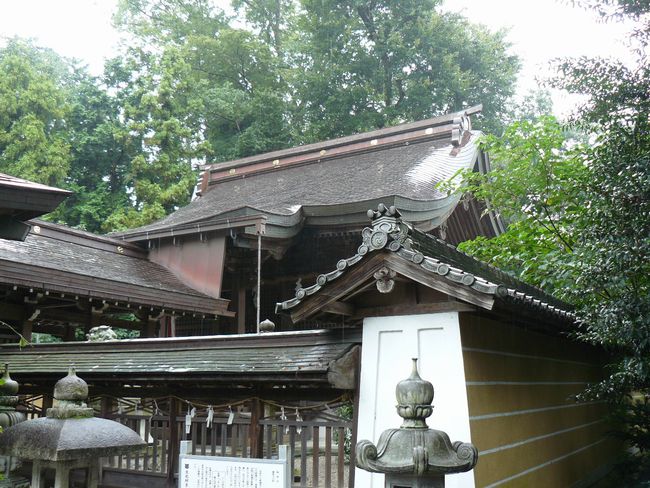 ���ߍ]�s�E�͌���͕Ӑ_��