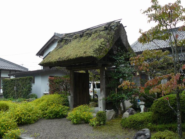 ���ߍ]�s�E�͌���͕Ӑ_��