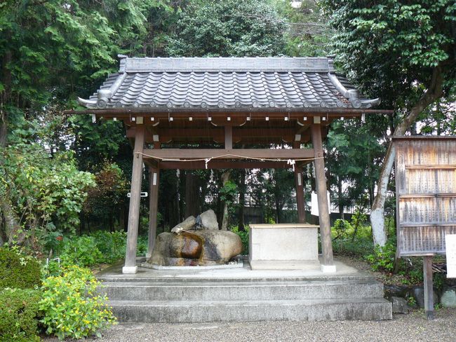 ���ߍ]�s�E�͌���͕Ӑ_��