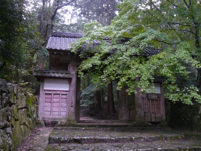 ���ߍ]�s�E�S�ώ�