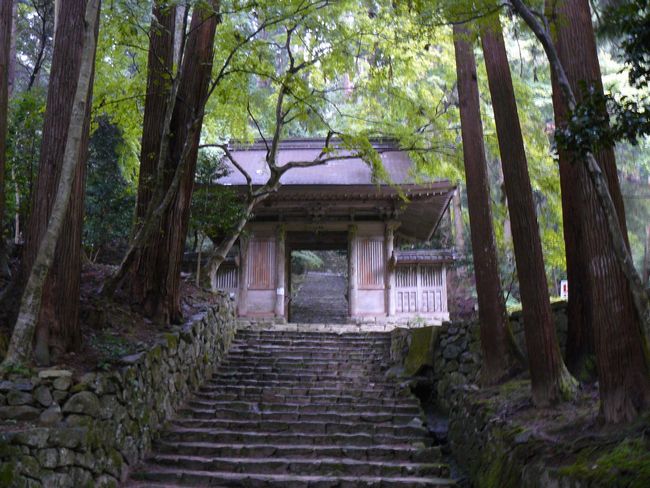 ���ߍ]�s�E�S�ώ�