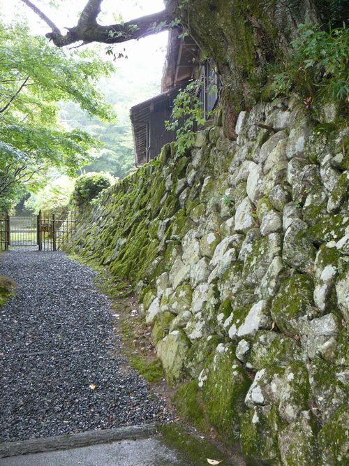 ���ߍ]�s�E�S�ώ�