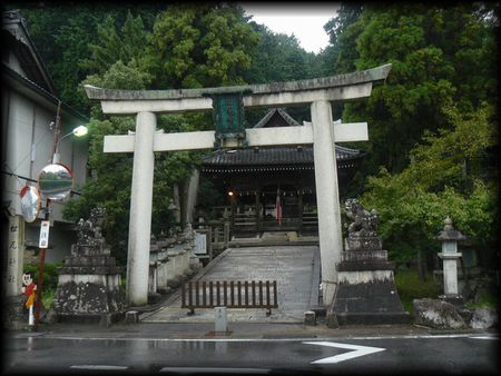 �����_��