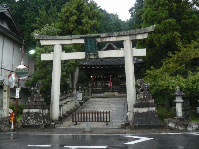 ���ߍ]�s�E�����_��