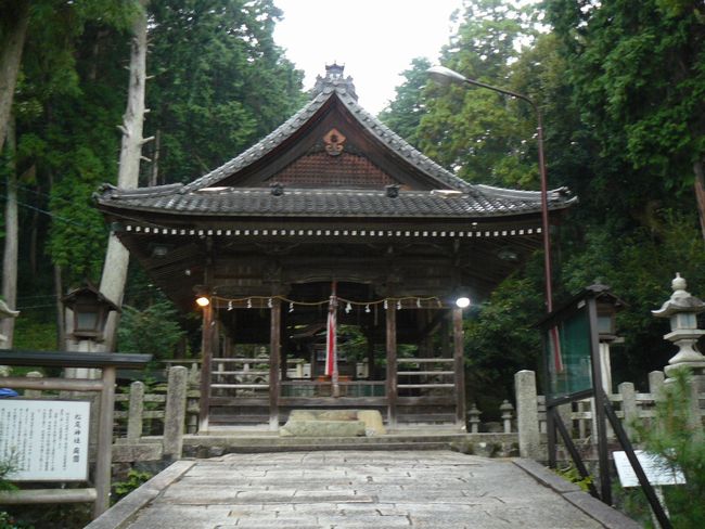 ���ߍ]�s�E�����_��