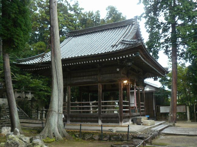 ���ߍ]�s�E�����_��