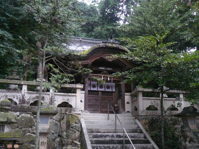 ���ߍ]�s�E�����_��