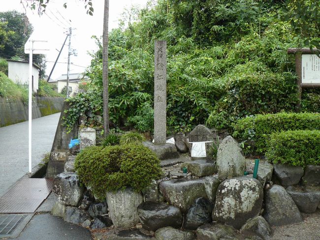 ���ߍ]�s�E�΍]��