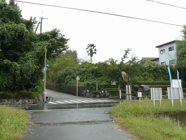 ���ߍ]�s�E�΍]��