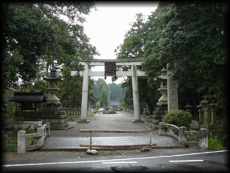 �����_��