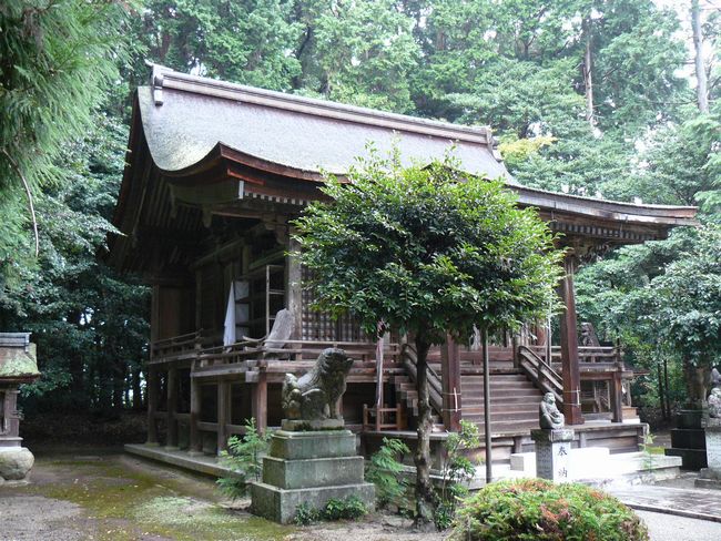 ���ߍ]�s�E���ؐ_��