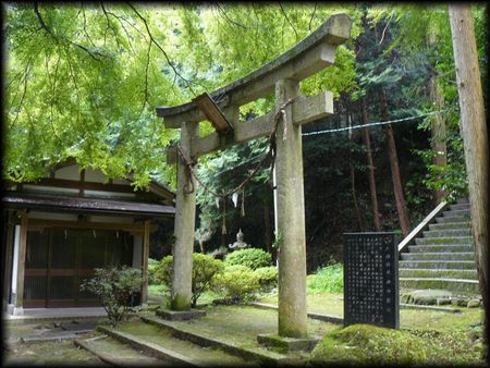 �Z���_��