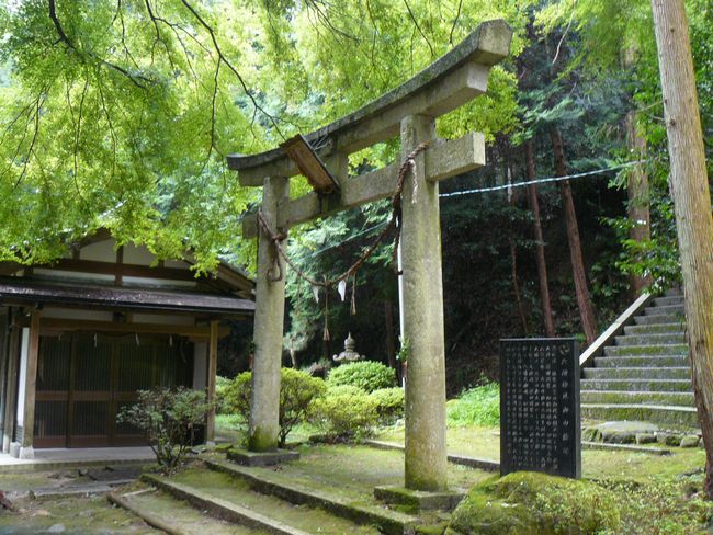 �Z���_��