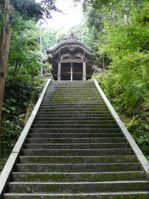 ���ߍ]�s�E�Z���_��