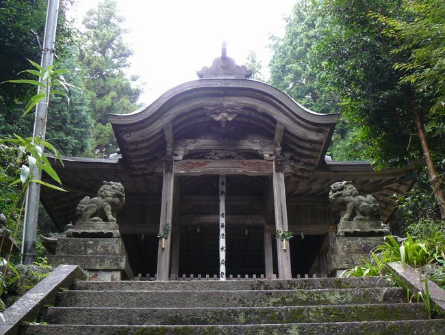 �Z���_��