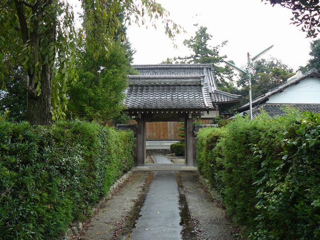 ���ߍ]�s�E�P����