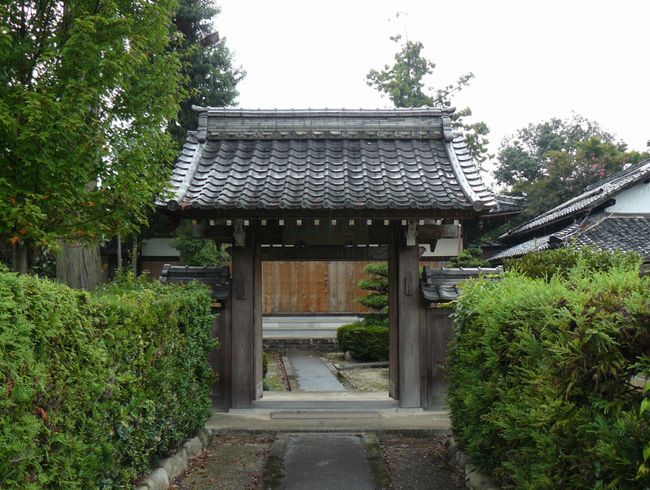 ���ߍ]�s�E�P����