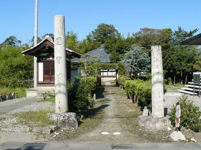 �F���s�E�ϓ���