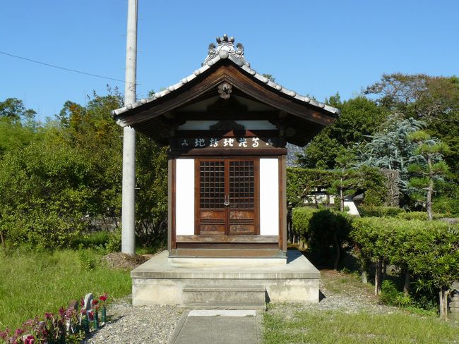 �F���s�E�ϓ���