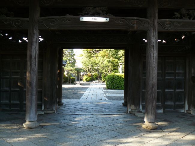 �F���s�E������