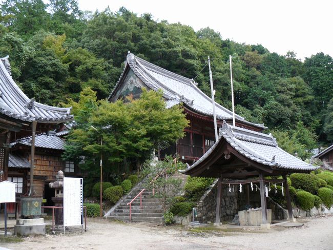 �F���s�E�����@�i�哴�ٍ��V�j