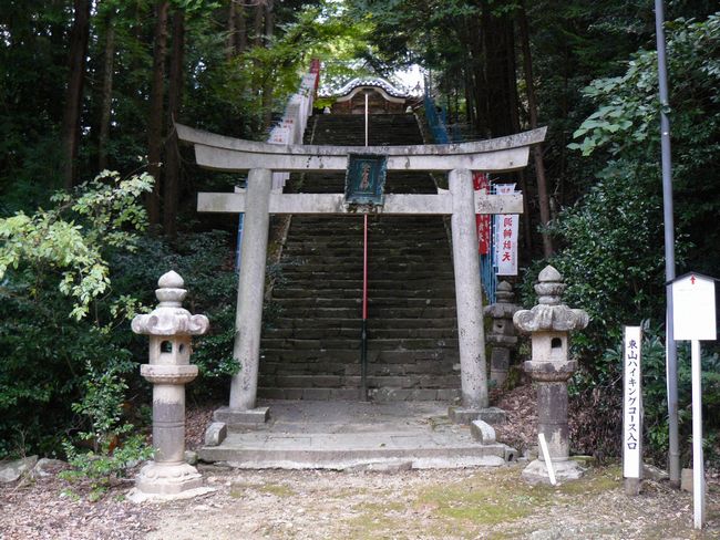 �F���s�E�����@�i�哴�ٍ��V�j