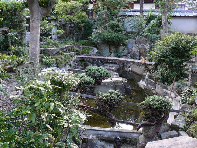 �F���s�E���}��