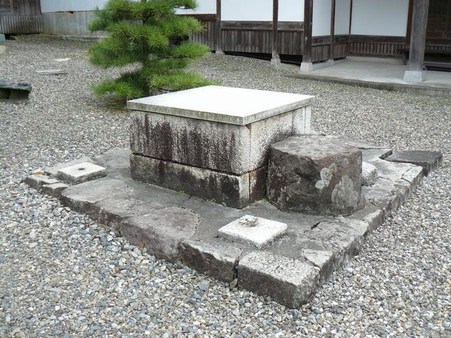 �F���s�E������