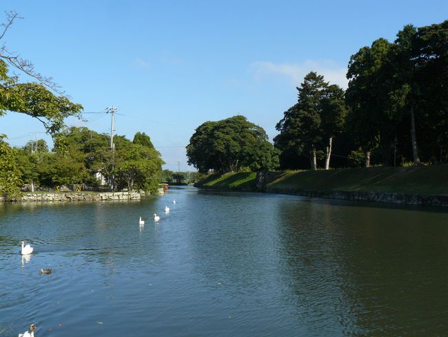 �F����E���