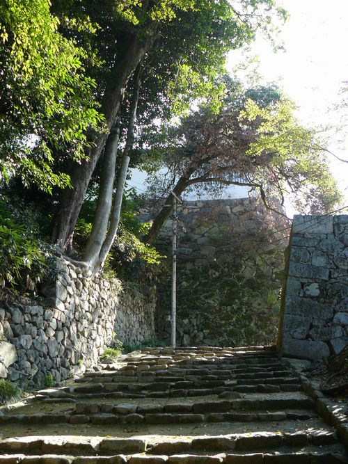 �F����E���