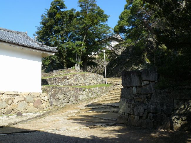 �F����E���