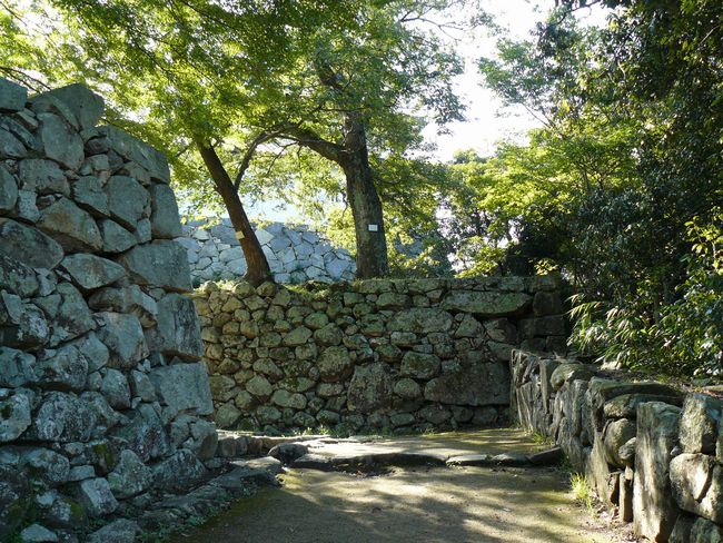 �F����E���