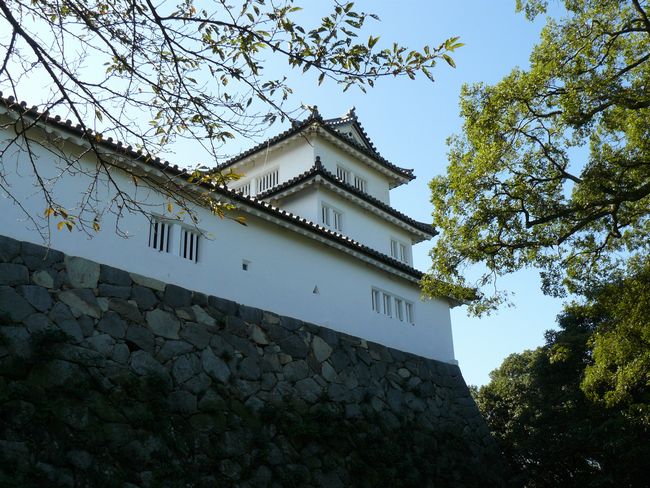 �F����E���̊ێO�d�E