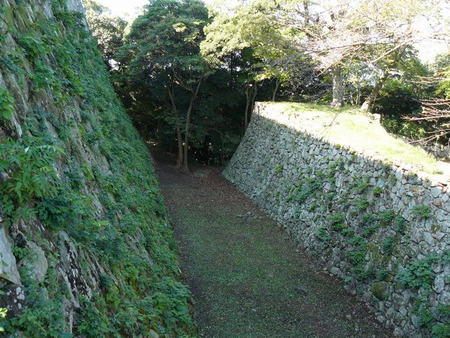 �F����E��x�؁E�o�s