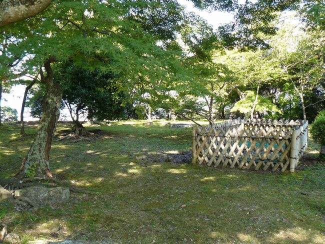 �F����E��x�؁E�o�s